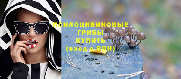 бутират Алексин