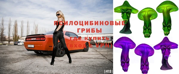 2c-b Алзамай