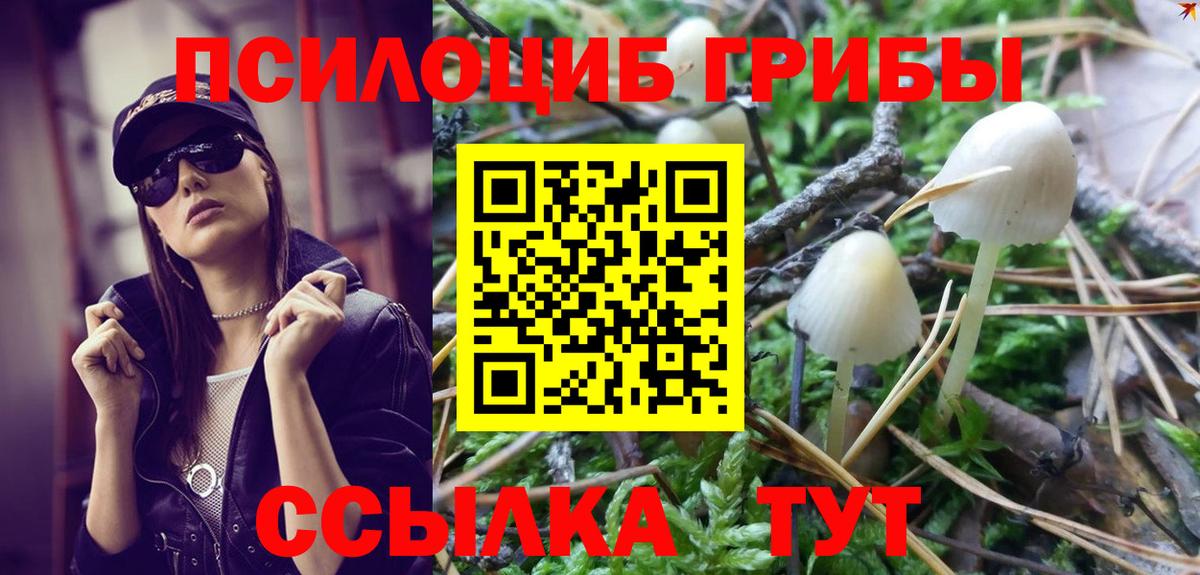 Галлюциногенные грибы Cubensis Лесной
