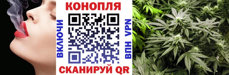 сайты даркнета клад Лесной Шишки марихуана планчик