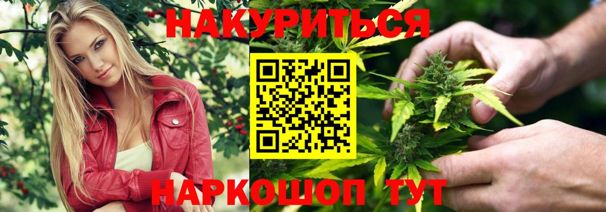 Канабис сатива Лесной